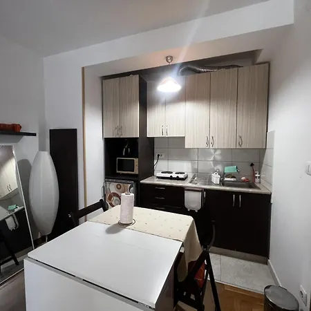 Family Rakic Apartment